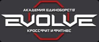 Evolve Academy logo